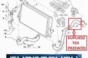 PRZEWD ТУРБО ИНТЕРКУЛЕРА FIAT  2.4 JTD