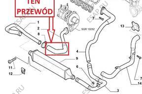 PRZEWD ТУРБО ИНТЕРКУЛЕРА FIAT GRNADE PUNTO 1.3D
