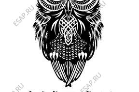 РУЛЕВАЯ РЕЙКА Honda Civic CR-V JAZZ ПО REG 24Gw