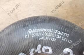 VIANO W639 LIFT 3.0 W ИНТЕРКУЛЕРА A6395283682