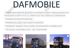 ВОССТАНОВЛЕНИЕ SKRZY СТУПЕНЧАТАЯW AUT CIAROWYCH DOLNOLSKIE