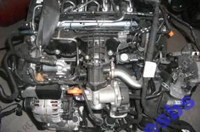 VW GOLF VI, AUDI A3, SEAT -двигатель 1.6TDI