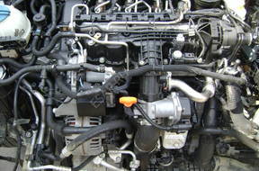 VW POLO GOLF VI 10 год, 1.6TDI - комплектный двигатель CAY